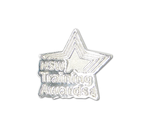 NSW AWARD PIN