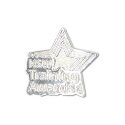 NSW AWARD PIN