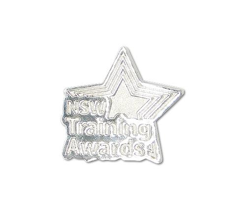 NSW AWARD PIN
